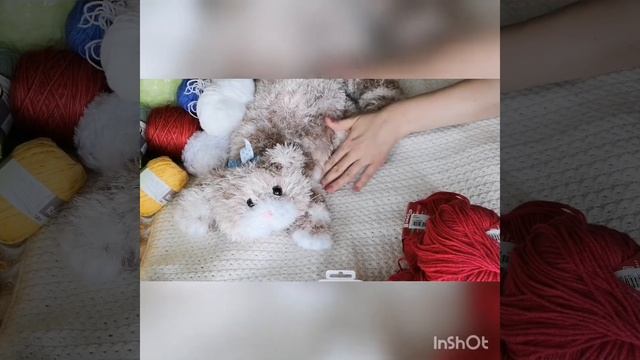 Кот Кузя спицами. День красного. Про планы на шапки. Сп,, Цветные Истории,, 29 сентября 2020 г. смотреть онлайн