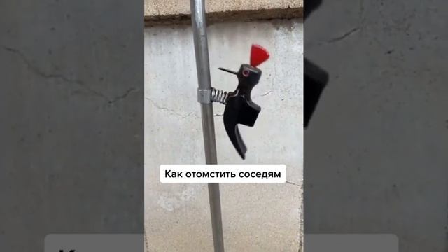 Для поднятия  настроение! #funnyanimals #tik Tok#funnycats #funnyvideo #kucinglucu #shorts