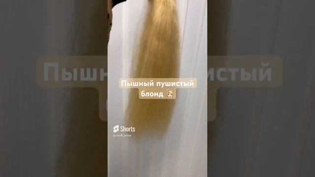 Блонд пористый 💛