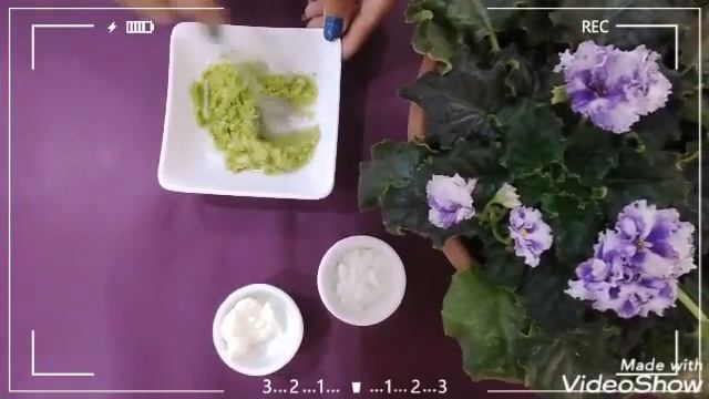 Маска против морщин из авокадо и кокосового масла. Qırışa qarşı avakado və kokos yağından maska смотреть онлайн