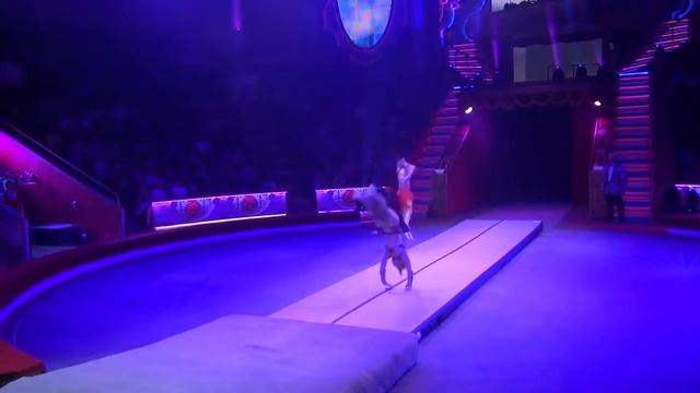 Акробатическое шоу в цирке на надувной дорожке