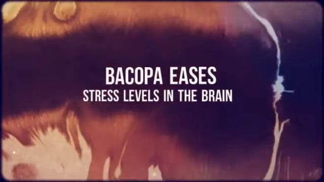 Bacopa Review: Good For Brain Health смотреть онлайн