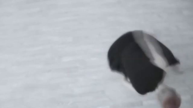 Olga Labovkina/dance intensive promo смотреть онлайн