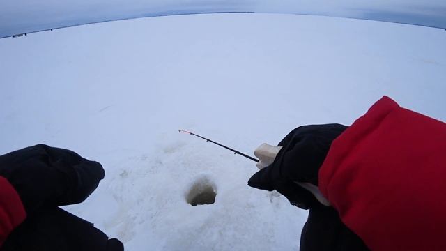 Снова ВЫРУЧИЛ этот балансир! Рыбалка на Волге зимой, ловля со льда в 2022 смотреть онлайн