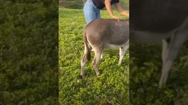 Покаталась 😂