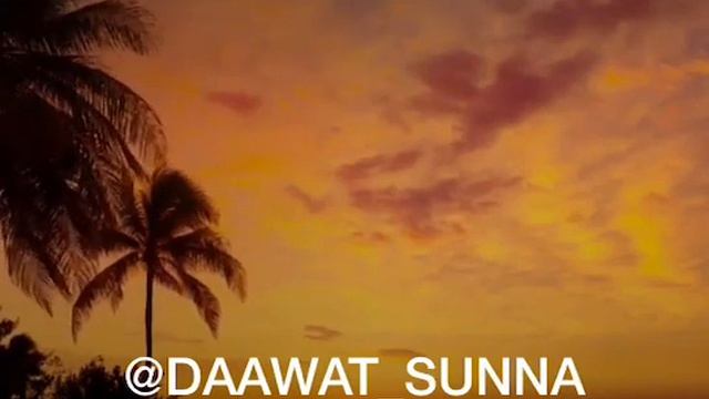 УМАР ХЕХОЕВ ХЬЕХАМ ЭРНА ХАН ЯЙЪАР ☑❗❗❗ смотреть онлайн