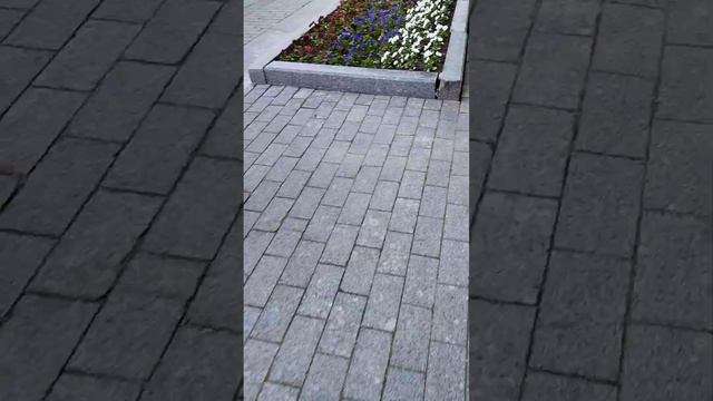 Красота в Александровском саду #москва #тюльпаны #цвете все смотреть онлайн