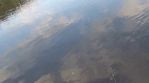 Рыбалка/Попали на язя! 18+