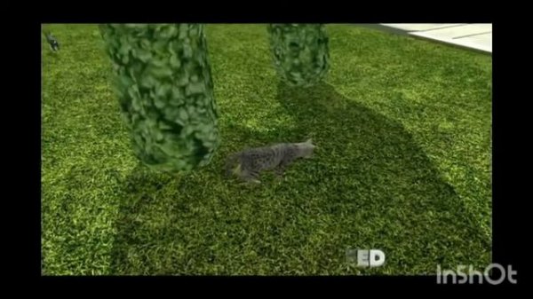 STRAY GAME ANDROID 2022 | HOW TO DOWNLOAD STRAY GAME IN ANDROID | STRAY GAME download || Top 5 Gam