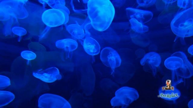 Погружение в глубокий сон смотреть онлайн