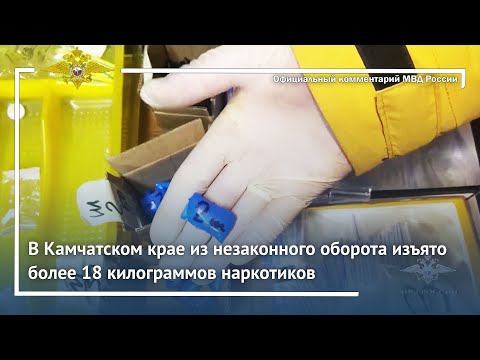 Ирина Волк: В Камчатском крае из незаконного оборота изъято более 18 килограммов наркотиков смотреть онлайн