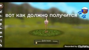 Баг с питомцем вилд крафт! ??