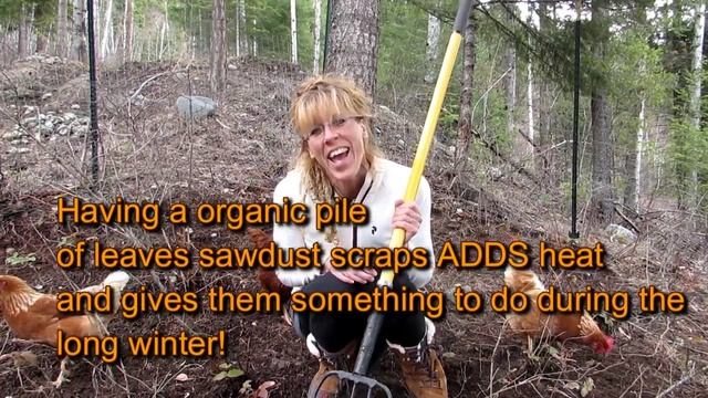 How To Make Compost With Chickens~ The BEST Compost EVER! смотреть онлайн