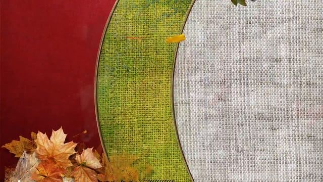 10 dacha 002 смотреть онлайн