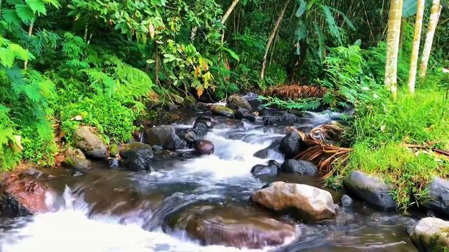 Relaxing River Sounds - Spring River - 30 minutesLong - Nature Videos - East Java Indonesia смотреть онлайн