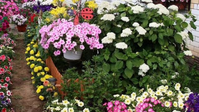 Современный Ландшафтный дизайн двора частного дома (80+ Фото). Как Красиво обустроить и украсить