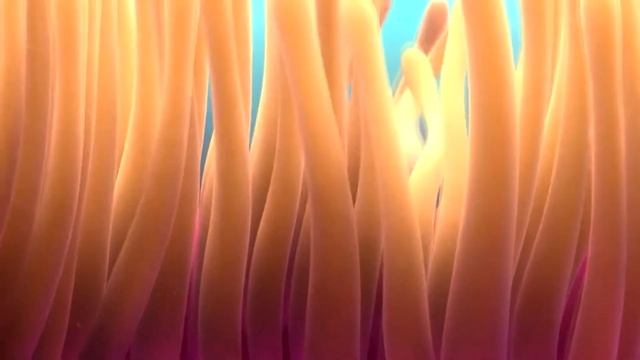 Finding Nemo MLG Get rekt 420 blaze it смотреть онлайн