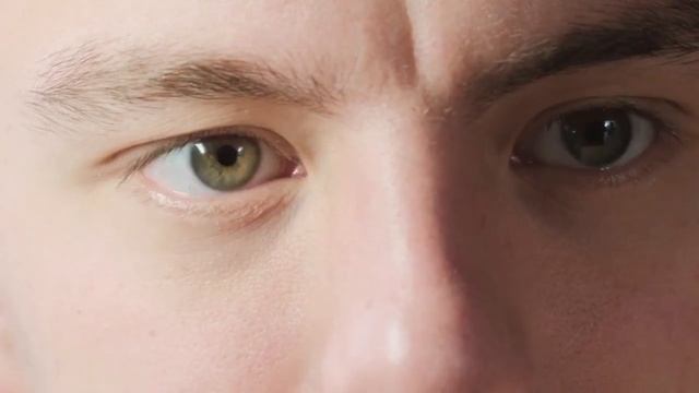 How To Know if Your Dog is Seeing Ghosts? смотреть онлайн