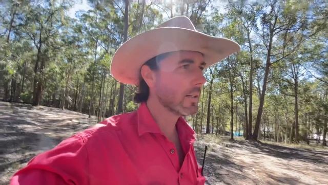 Dear Jelly’s great granddaughter Amber joins our pack and welcome too, Spaghetti the Moodle! смотреть онлайн