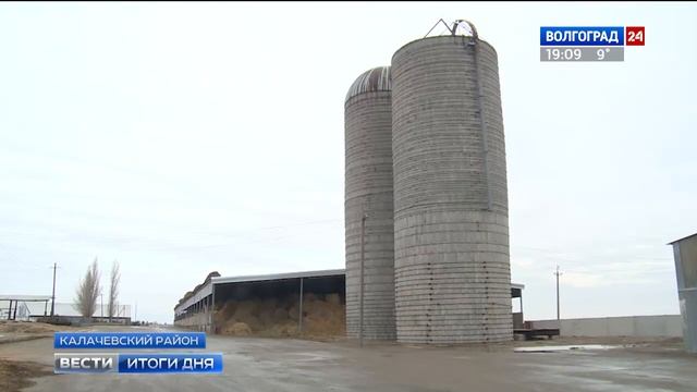В Волгоградской области открыта новая животноводческая ферма смотреть онлайн