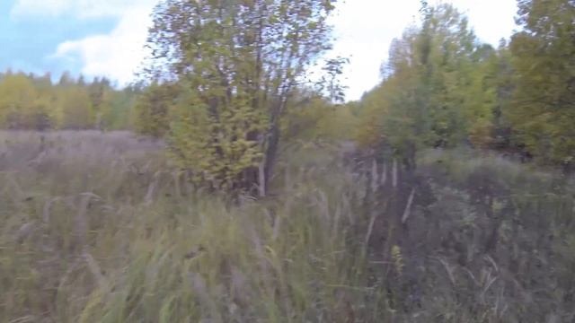 Вальдшнеп_05_10_2018 смотреть онлайн