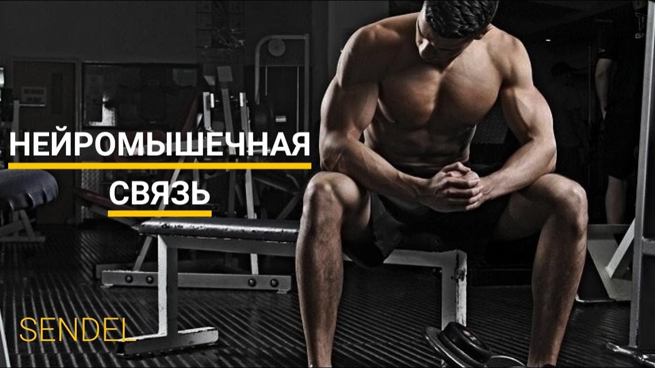 ЗАЧЕМ НУЖНА НЕЙРОМЫШЕЧНАЯ СВЯЗЬ? КАК ТРЕНИРОВАТЬ? смотреть онлайн