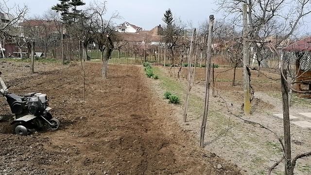 Motosapa la frezat смотреть онлайн