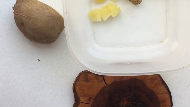 Картошка для рыбалки. Супер насадка на карпа, карася, линя, леща. смотреть онлайн