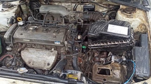 На что способен GRASS MOTOR CLEANER?