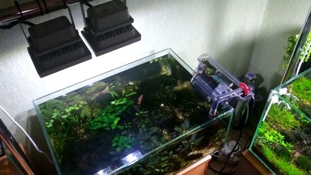 Удобрения для аквариумных растений. смотреть онлайн