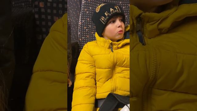 Про филинов. Чем отличается филин от совы