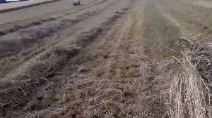 Про сено заготовку и рулонный пресс claas.