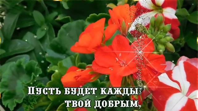 Просто так, без повода… Но от всей души! Красивое пожелание! смотреть онлайн