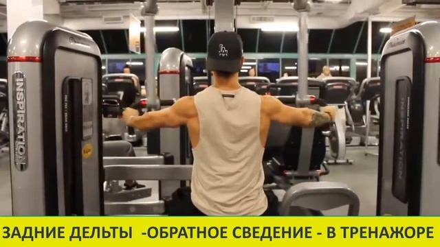 ДЕЛЬТЫ ЗАДНИЕ - ОБРАТНОЕ СВЕДЕНИЕ - В ТРЕНАЖЁРЕ смотреть онлайн