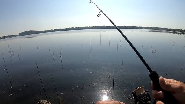 ТУТ Щуки с Берега КЛЮЮТ ЛУЧШЕ ЧЕМ С ЛОДКИ! Рыбалка с берега! смотреть онлайн