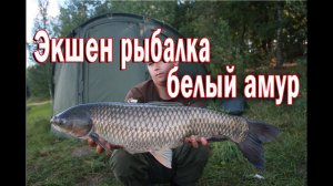 Ловля белого амура. Экшен рыбалка.
