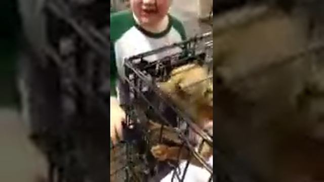 Mystery Hearts HgH Treats! смотреть онлайн