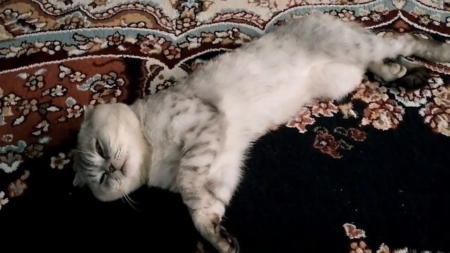 Дагестан, Джума мечеть смотреть онлайн