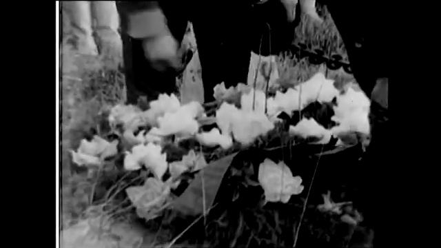 Мурманск Хроника: Муста-Тунтури и Рыбачий - поездка молодежи (хроника 1965 года) смотреть онлайн