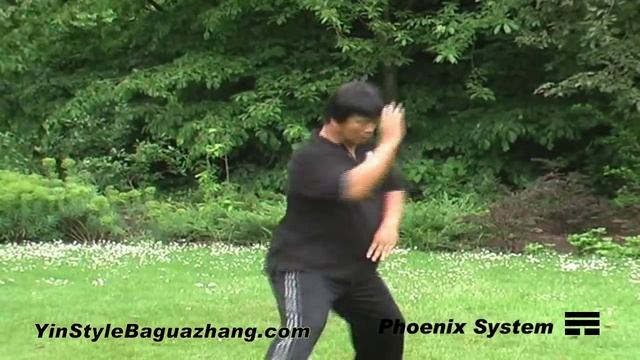 A Brief Introduction to Yin Style Bagua смотреть онлайн