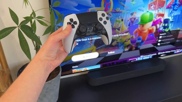 Stumble Guys - PlayStation Release (PS4 & PS5) смотреть онлайн