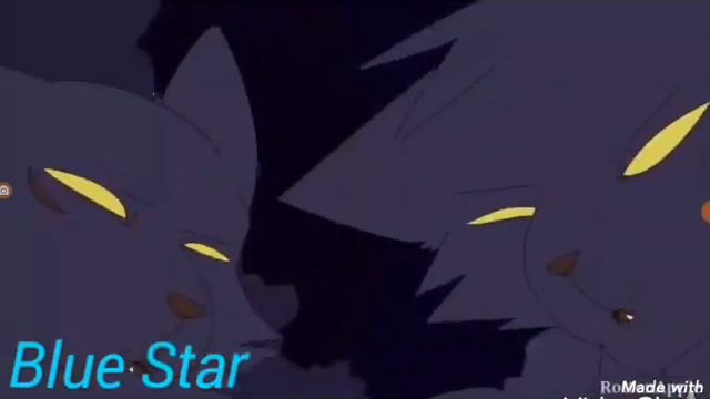 Коты воители Ежевика-Thunder смотреть онлайн