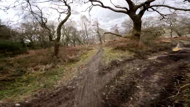 Hot Stepper Red Trail - Bike Park Wales