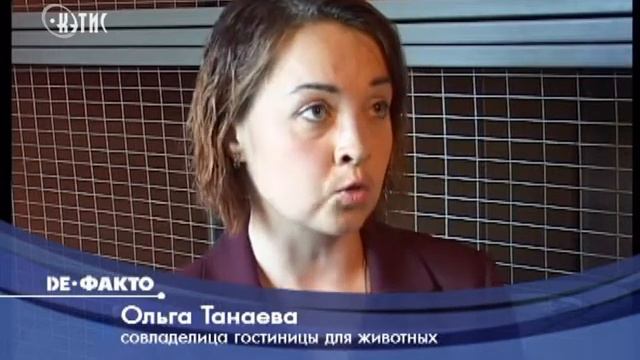 Гостиница для хвостатых и пернатых смотреть онлайн