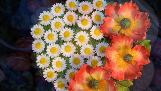 Чудеса из фруктов и сахара