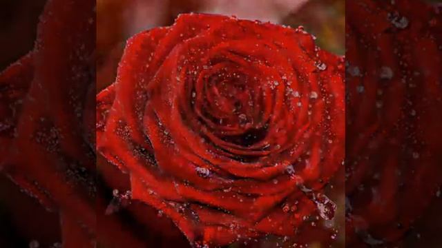 открытки на любой праздник смотреть онлайн