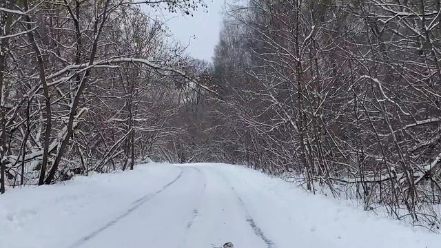 Kia K5 In Winter 2