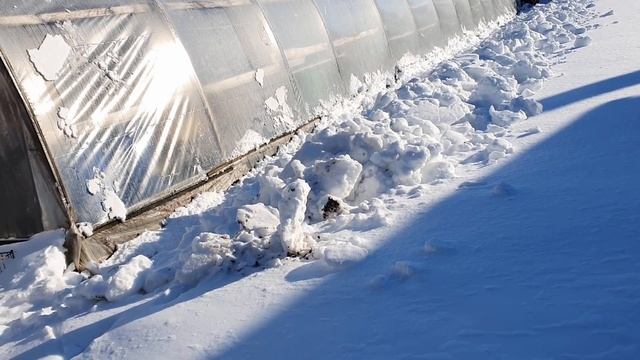 Всюду снег/ Нужен ли снег в теплице? Каждый решает сам. И все правы!) смотреть онлайн