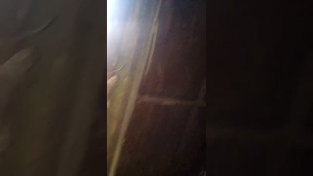 Ангары часть 2 смотреть онлайн
