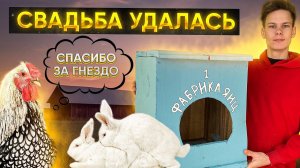 ПОТОМСТВО БУДЕТ❗️Будни Молодого ФЕРМЕРА | Закупили корма | Ждём яйца  от Молодок